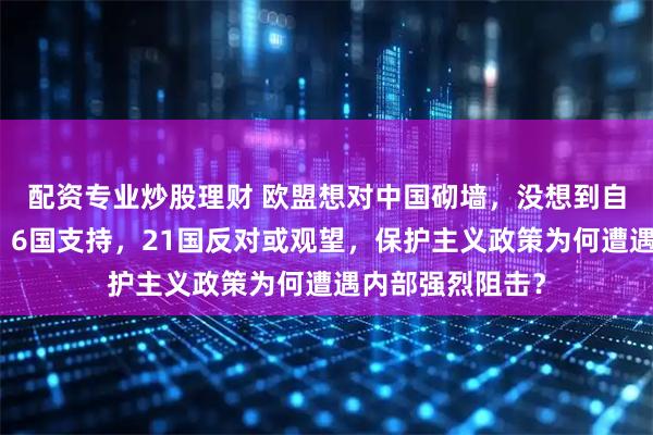 配资专业炒股理财 欧盟想对中国砌墙，没想到自己人先吵翻了！6国支持，21国反对或观望，保护主义政策为何遭遇内部强烈阻击？